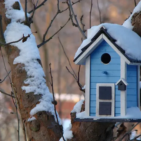 Spreewaldferienwohnungen Апартаменты Люббен