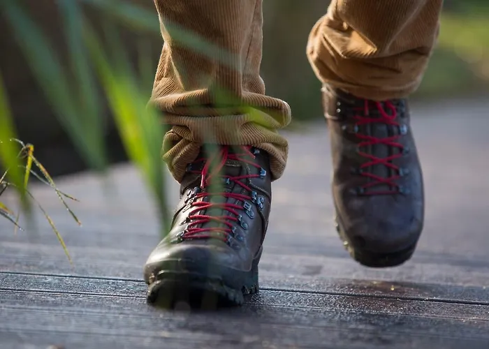 Spreewaldferienwohnungen Appartement